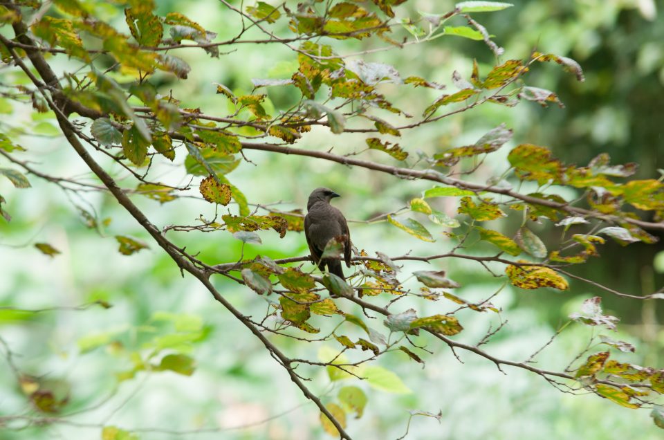 Ecological Reserve